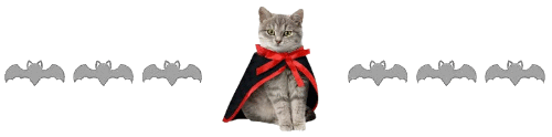 cat dracula