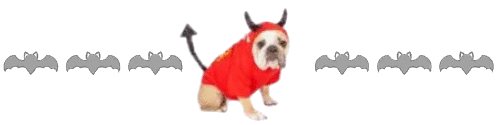 dog devil