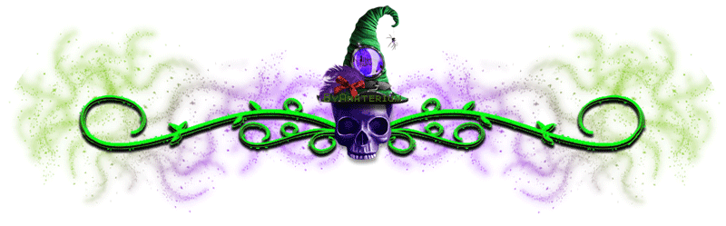 Wicked Witch Divider