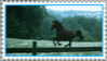 horse galloping