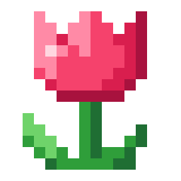 Pink Tulip